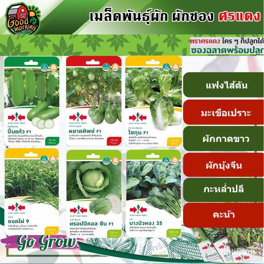 ผลิตภัณฑ์ใหม่-เมล็ดพันธุ์-เมล็ดพันธุ์คุณภาพสูงในสต็อกในประเทศไทย-พร้อมส่งผักซอง-ศรแดง-เมล็ดอวบอ้วน-แฟง-มะเขือ-ผ-ขายดี-w