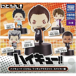 🌟พร้อมส่ง🌟 กาชาปอง Haikyuu!! Nitotan Figure Mascot Spiker Edition