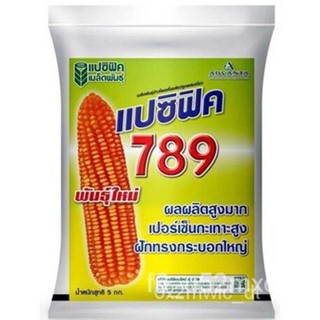 ผลิตภัณฑ์ใหม่ เมล็ดพันธุ์ เมล็ดพันธุ์คุณภาพสูงในสต็อกในประเทศไทย พร้อมส่ง ะให้ความสนใจของคุณเมล็ดอวบอ้วน ข้าวโพ /ดอก 8OH