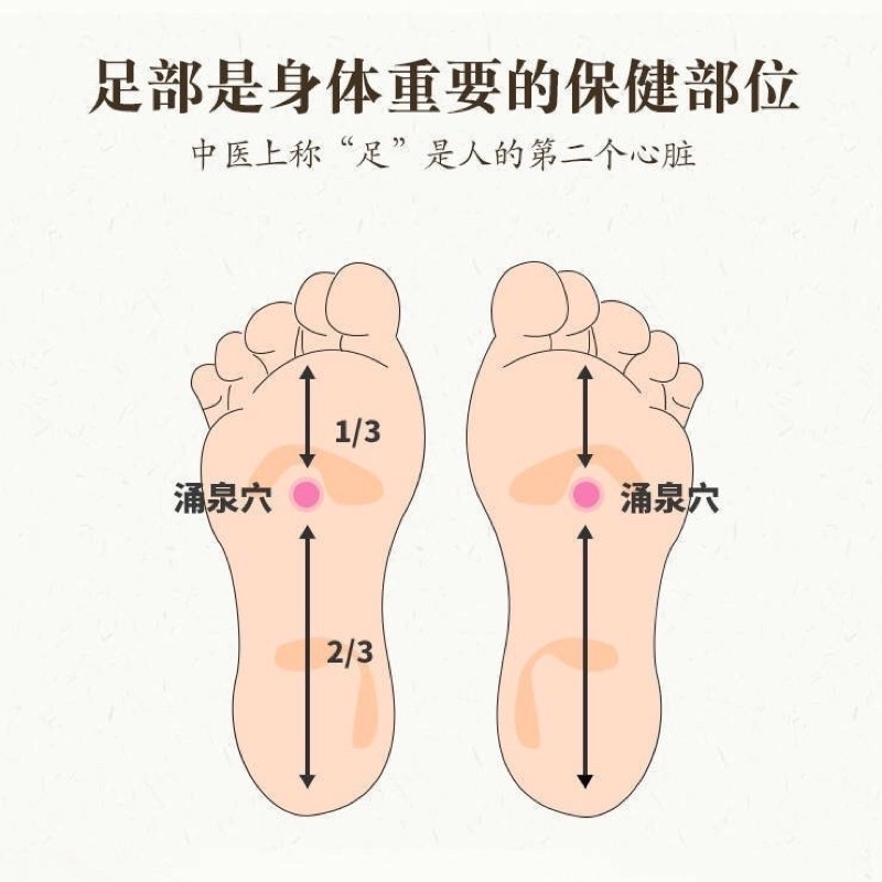 herbal-foot-patch-soles-feet-สมุนไพร-แผ่นแปะเท้าผ่อนคลายฝ่าเท้า