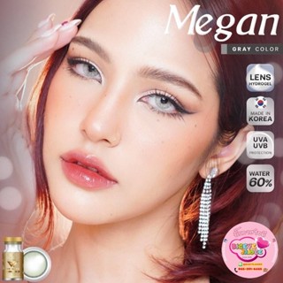 WeWink Megan Eff.19 Gray ใหญ่