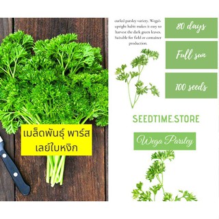 ผลิตภัณฑ์ใหม่ เมล็ดพันธุ์ Curly Parsley Seed Plants &amp; vegetable seeds เมล็ดพันธุ์ พาร์สเลย์ใบหงิก เมล็ด IOWL คละ ส/เ EIH