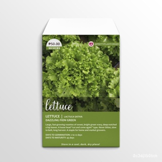 ผลิตภัณฑ์ใหม่ เมล็ดพันธุ์ จุดประเทศไทย ❤Dazzling Fion Green Lettuce Seedsเมล็ดอวบอ้วน 100% รอคอยที่จะให้ความสนใจขอ/เ IB1