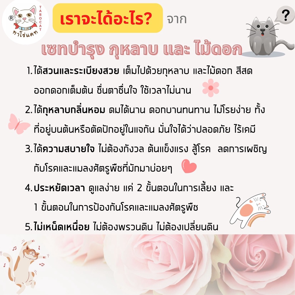 เซทอาหารบำรุงกุหลาบและไม้ดอก-ทาโร่แคท-ใช้แทนปุ๋ยกุหลาบและปุ๋ยไม้ดอก