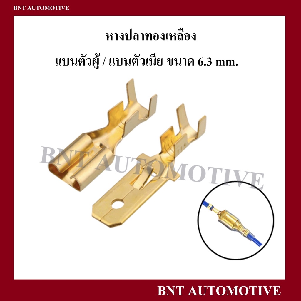 หางปลาทองเหลือง-แบนผู้-แบนเมีย-กลมผู้-กลมเมีย-จำนวน-10-ตัว