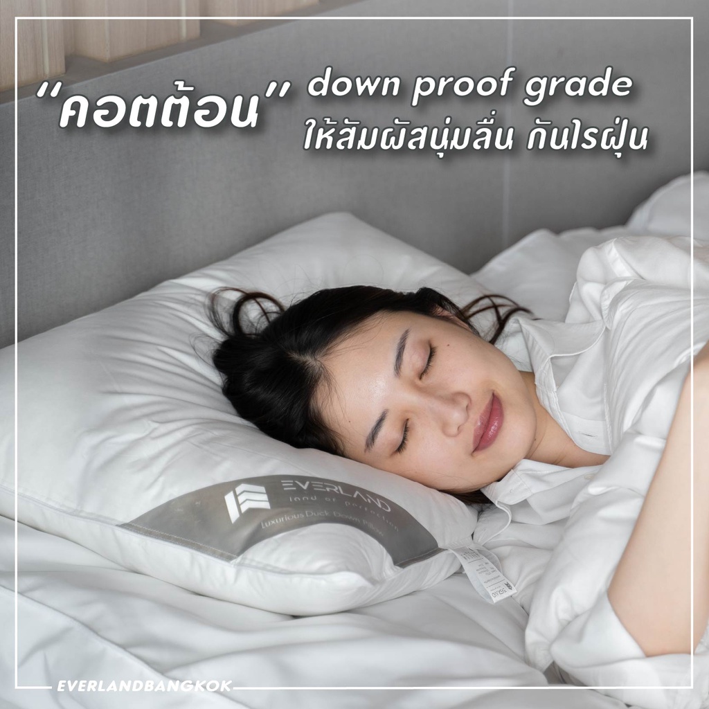Everland รุ่น หมอนขนเป็ดแท้ 100% ขนาด 50x70 ซม. หมอนสุขภาพกันไรฝุ่นมาตรฐานโรงแรม 5 ดาว เพื่อการนอนหลับที่เหนือระดับ