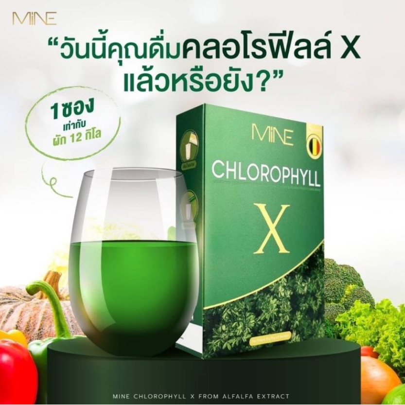 mine-มายน์-คลอโรฟิลล์-คลอโรฟิลล์มายมิ้น-ผงผอมมายมิ้นท์