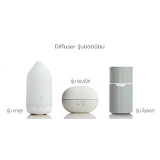 เครื่องพ่นไอน้ำ โดเทอร์ร่า diffuser doterra  รุ่น ลาลูซ  รุ่น เพบเบิล รุ่นไพลอท