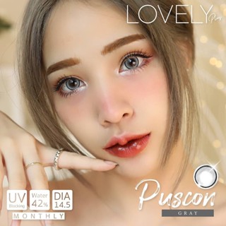 LovelyLens Puscon Eff.19 Gray ใหญ่