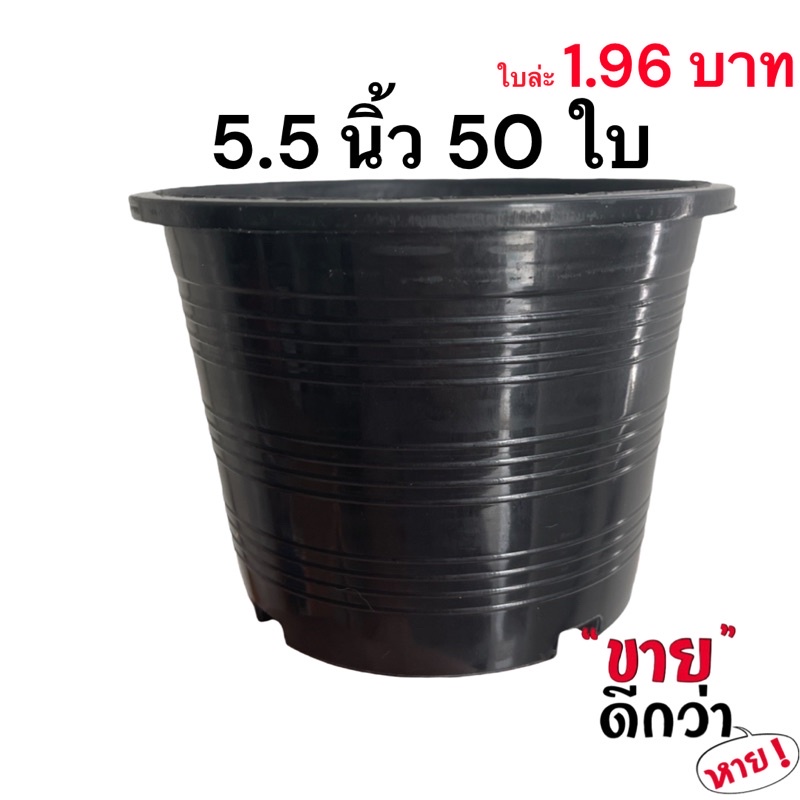 กระถาง-5-5-นิ้ว-50-ใบ-สีดำ