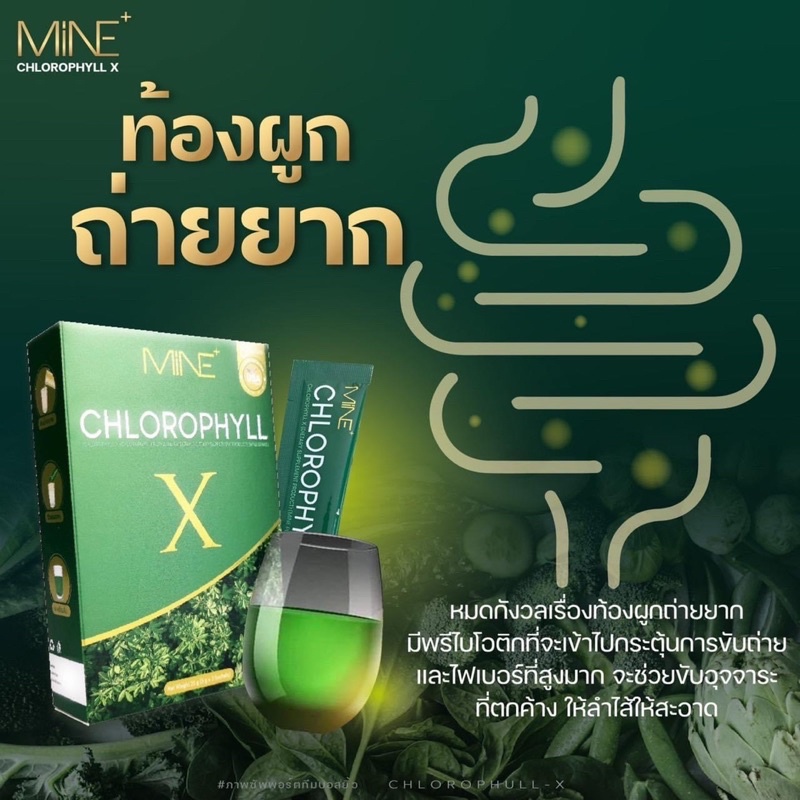 chlorophyll-x-คลอโรฟิลล์-มายด์มิ้น-ลดบวม-กระชับสัดส่วน-ของแท้100