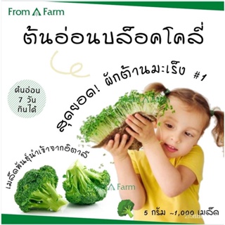 ผลิตภัณฑ์ใหม่ เมล็ดพันธุ์ จุดประเทศไทย ❤Form a Farm | ฟอร์มอะฟาร์ม •เมล็ด บล็อคโคลี่ Broccoli seed 5 กรัม ~1,00 /สวนครัว