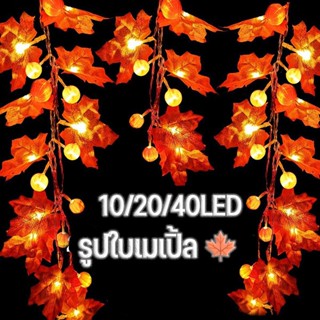 🎄พร้อมส่ง🍁 10/20/40LED รูปใบเมเปิ้ล ใช้พลังงานจากแบตเตอรี่ ไฟปิงปอง ไฟแต่งบ้าน ไฟประดับตกแต่ง