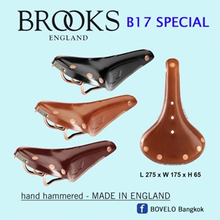 BROOKS B17 SPECIAL COPPER หมุดทองแดง รางทองแดง