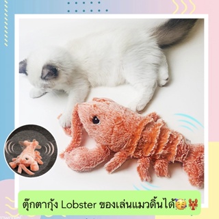 BN-359 ตุ๊กตากุ้ง Lobster ของเล่นแมวดิ้นได้ ช่วยดึงดูดความสนใจ ตุ๊กตาแมว ของเล่นแมวอัตโนมัติ ราคาถูก พร้อมส่ง🧡🍄