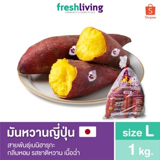 ภาพหน้าปกสินค้ามันหวานญี่ปุ่น เบนิฮารุกะ ไซส์ L แพ็ค 1kg. / 2kg. / 3kg. กลิ่นหอม รสชาติหวาน เนื้อฉ่ำ Shitori ที่เกี่ยวข้อง