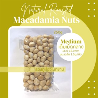 แมคคาเดเมีย อบพร้อมทาน 250 กรัม Macadamia nuts