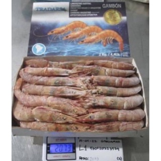 กุ้งหวานอาร์เจนตินา(Size L1)Argentina Red Shrimp