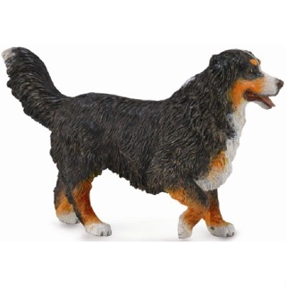 Collecta 88801 Berner Sennenhund ตุ๊กตาสัตว์ฟาร์ม ขนาด 10 ซม.