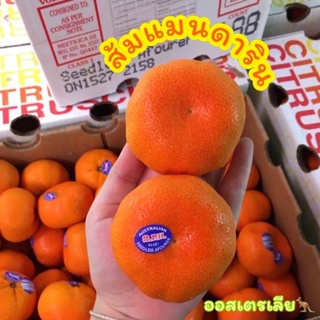 พร้อมส่ง✅ 1KG ส้มแมนดาริน 2ph 🍊ส้มออสเตรเลีย