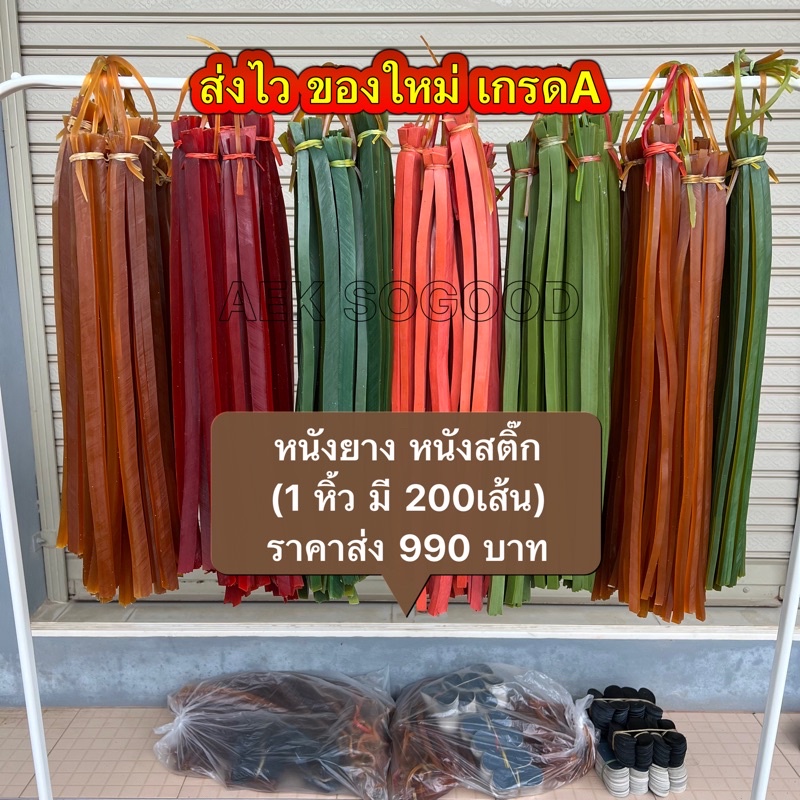 ราคาและรีวิวหนังยาง หนังสติ๊ก ยางหนังสติ๊ก (1 หิ้ว มี 200เส้น) พร้อมหนังรอง ราคาส่ง