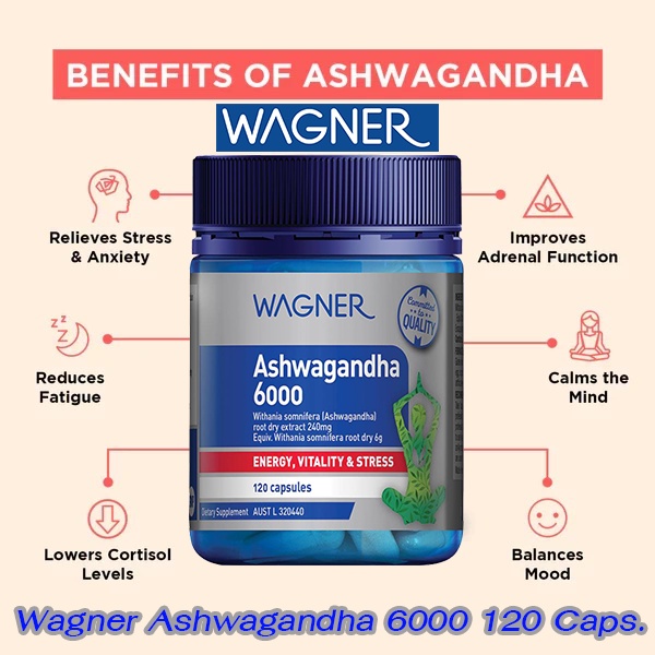 wagner-ashwagandha-6000-120-capsules-โสมอินเดีย-ฟื้นฟูร่างกาย-เพิ่มพลังสมอง-ลดความตรึงเครียดของเส้นประสาท-ช่วยผ่อนคลาย