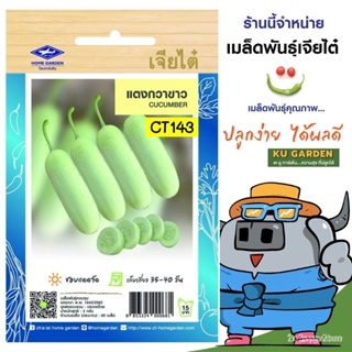 ผลิตภัณฑ์ใหม่ เมล็ดพันธุ์ จุดประเทศไทย ❤CHIATAI  ผักซอง เจียไต๋ O143#แตงกวาขาว  ซองประมาณ 60 เมล็ด เมล็ดอวบอ้วน /ขายด WC