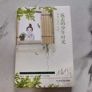 流走的少年时光 หนังสือจีน นิยายจีน