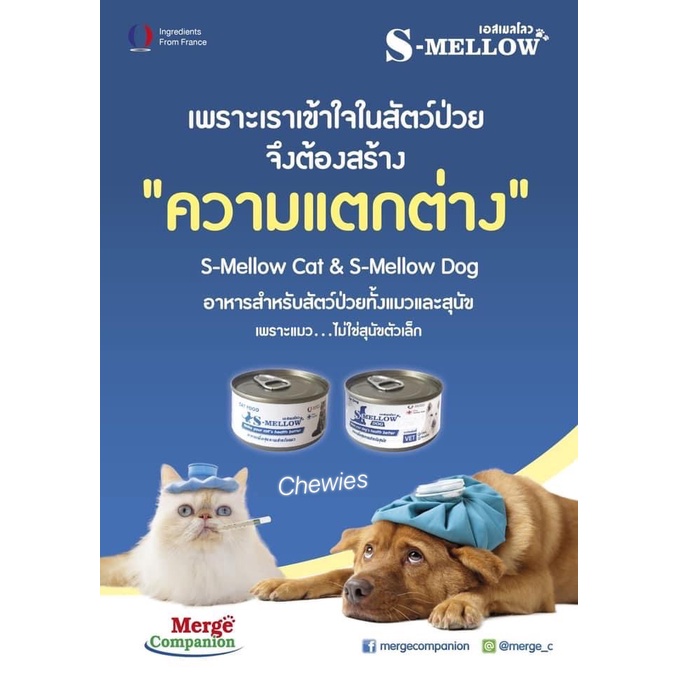 s-mellow-cat-80-g-สีฟ้า-หมดอายุ-05-2024-อาหารเปียกบำรุงสุขภาพน้องแมว-แมวป่วย-พักฟิ้น-ทานยาก