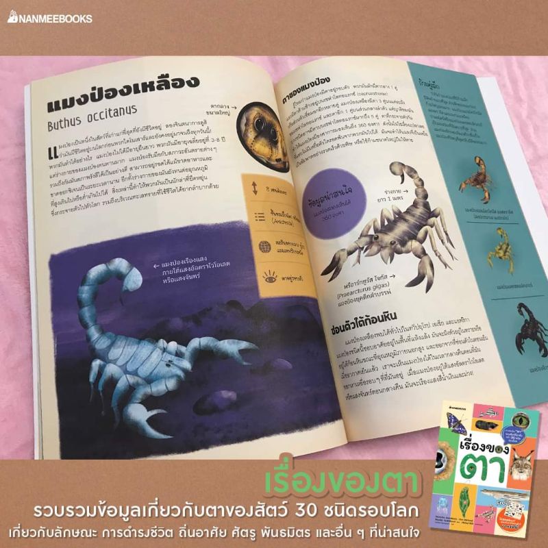 nanmeebooks-เรื่องของไข่-เรื่องของตา