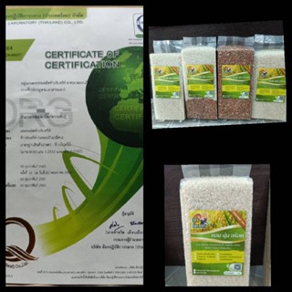 ข้าวอินทรีย์Organic Rice ปลอดสารเคมี 100% ขนาด15 Kg ข้าวหอมมะลิใหม่ต้นฤดู ตราลูกเกษตร OTOP ผลิตโดยชาวนาจังหวัดกาฬสินธิผล