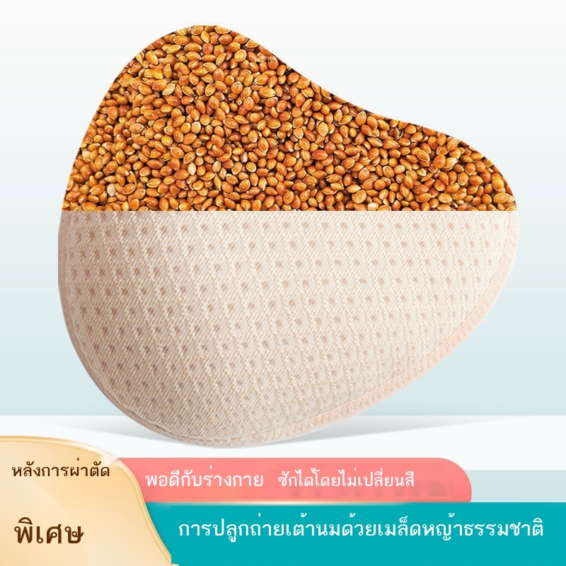 grass-seed-breast-prosthesis-bra-เต้านมศัลยกรรมเต้านมพิเศษ-pads-แต่งหน้าสำหรับ-bra-หน้าอกปลอมผู้หญิงน้ำหนักเบาชุดชั้น