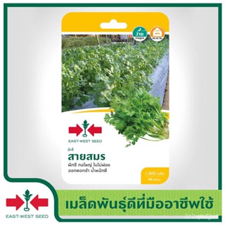 ผลิตภัณฑ์ใหม่ เมล็ดพันธุ์ 2022East-West Seed เมล็ดอวบอ้วนผักชี (coriander seeds) สายสมร เมล็ดอวบอ้วนผัก เมล็ดอว /สวนครัว