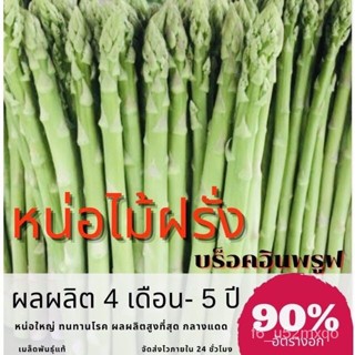 ผลิตภัณฑ์ใหม่ เมล็ดพันธุ์ จุดประเทศไทย ❤เมล็ดหน่อไม้ฝรั่งพันธุ์บร็อคอินพรูฟ 200 เมล็ดเมล็ดอวบอ้วน 100% รอคอยที่ /ดอก OZY