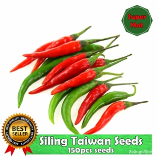 ผลิตภัณฑ์ใหม่ เมล็ดพันธุ์ จุดประเทศไทย ❤SILING TAIWAN/SUPER HOT/ TAIWAN EXPRESS/EASY TO GROW (1pack) - 150pcs s /สวนครัว