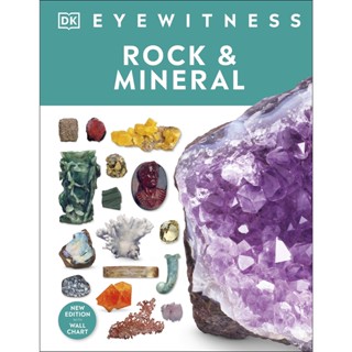 Rock and Mineral - DK Eyewitness R. F. Symes (author), Natural History Museum (London, England) (associated with work)