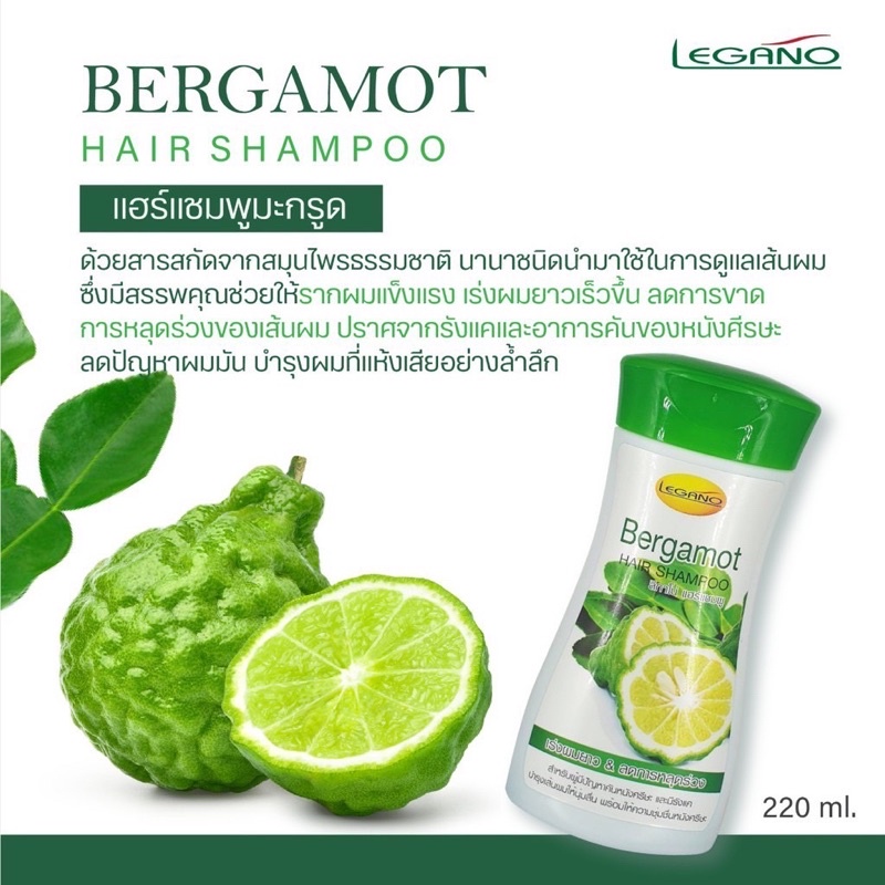 แชมพูมะกรูด-ลีกาโน่-bergamot-legano-hair-shampoo-220ml-รากผมแข็งแรง-เร่งผมยาวเร็ว-ลดผมมัน-ลดผมขาดหลุดร่วง-แก้รังแค