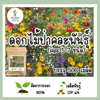 （คุณภาพสูง เมล็ด）เมล็ดดอกไม้ป่าคละพันธุ์ 500 เมล็ด (มี5-7ชนิด) อัตราการงอกสูง เมล็ดพันธุ์OPแท/ง่าย ปลูก สวนครัว /ดอก MN9