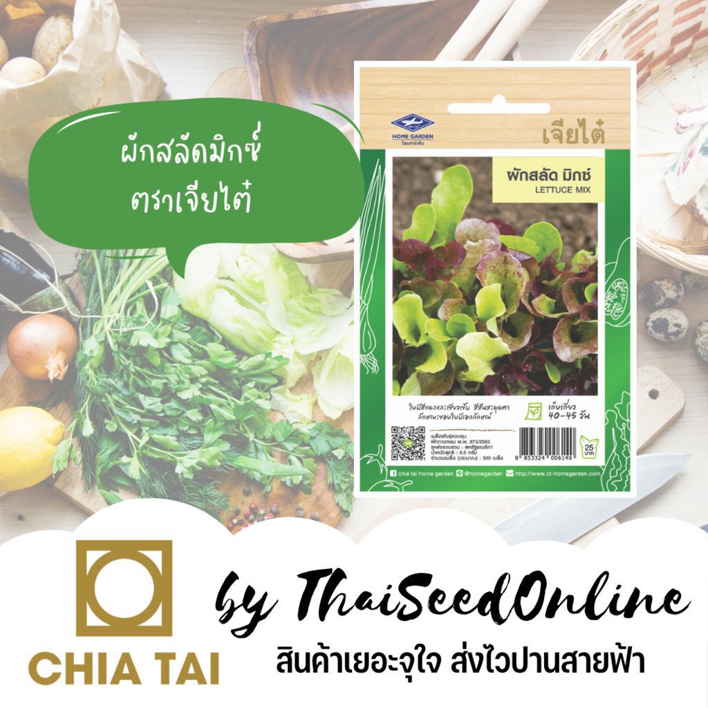 ผลิตภัณฑ์ใหม่-เมล็ดพันธุ์-เมล็ดพันธุ์คุณภาพสูงในสต็อกในประเทศไทยเมล็ดอวบอ้วน-สลัดมิกซ์-ตราเจียไต๋-lettuce-mix-ผ-ขายด-u2