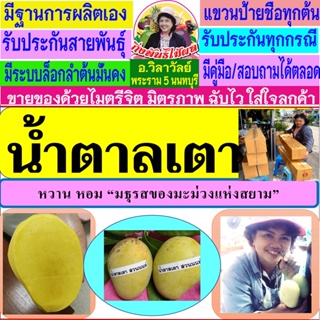 สุดยอดมะม่วงหอม หวาน น้ำตาลเตา จากสวนต้นตำหรับเมืองนนทบุรี BY อ.วิลาวัลย์ พระราม5 เป็นกิ่งทาบ พุ่มงาม