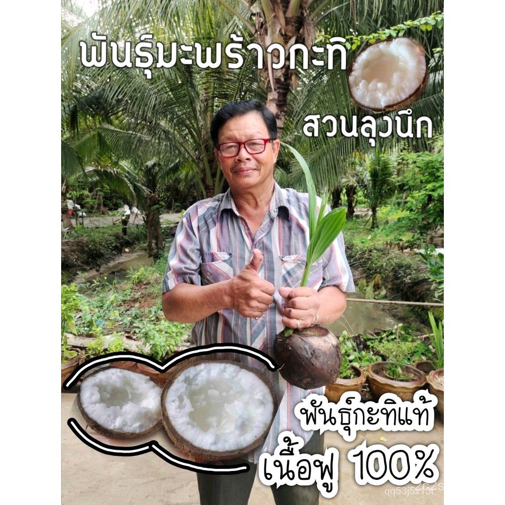 ผลิตภัณฑ์ใหม่-เมล็ดพันธุ์-เมล็ดพันธุ์คุณภาพสูงในสต็อกในประเทศไทย-พร้อมส่ง-ะให้ความสนใจของคุณพันธุ์มะพร้าวกะทิพว-ขายด-hw