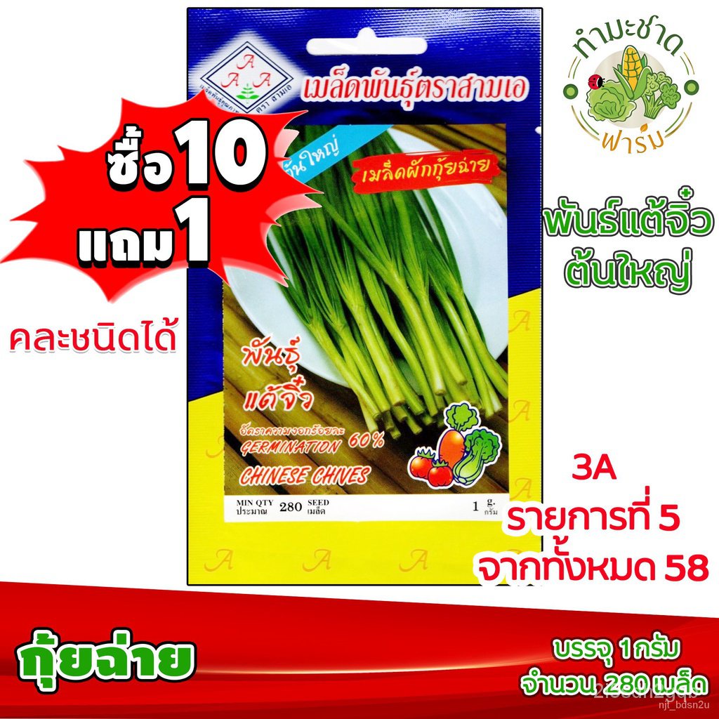 ผลิตภัณฑ์ใหม่-เมล็ดพันธุ์-เมล็ดอวบอ้วน100-เมล็ดพันธุ์-กุ้ยช่าย-280-เมล็ด-พันธุ์แต้จิ๋ว-ต้นใหญ่-เมล็ดพันธุ์สา-คล-เ-k1hd