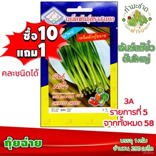 ผลิตภัณฑ์ใหม่ เมล็ดพันธุ์ เมล็ดอวบอ้วน100: เมล็ดพันธุ์ กุ้ยช่าย 280 เมล็ด พันธุ์แต้จิ๋ว ต้นใหญ่ เมล็ดพันธุ์สา คล/เ K1HD