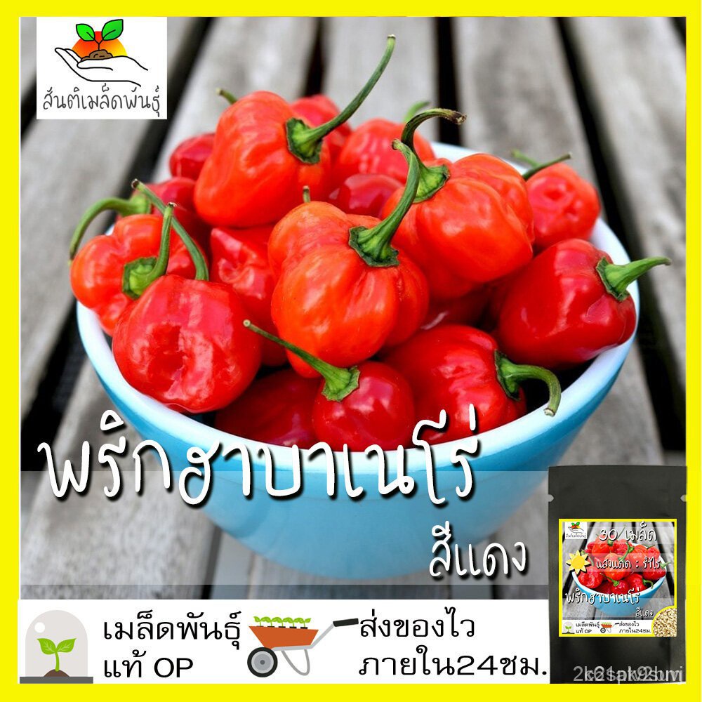 ผลิตภัณฑ์ใหม่-เมล็ดพันธุ์-เมล็ดพันธุ์-พริก-ฮาบาเนโร่-สีแดง-30-เมล็ด-red-habanero-pepper-seed-เมล็ดพันธุ์แท้-นำเข-ขายดี-p