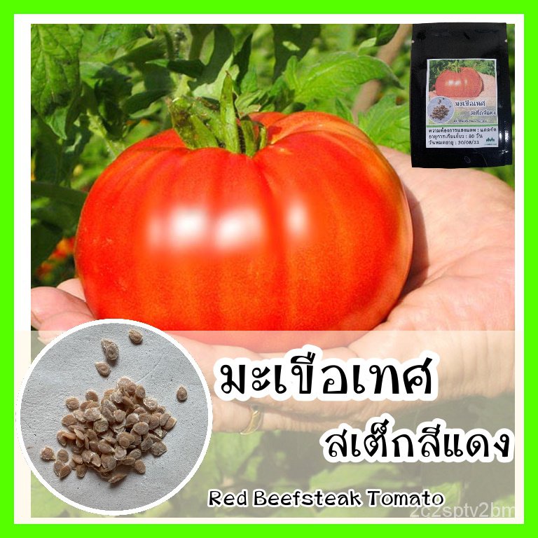 ผลิตภัณฑ์ใหม่-เมล็ดพันธุ์-เมล็ดพันธุ์คุณภาพสูงในสต็อกในประเทศไทย-พร้อมส่งพร้อมส่ง-รหัส-069-เมล็ดอวบอ้วนแท้-op-ขายด-sg