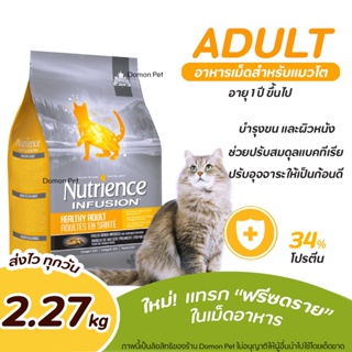 (2.27 กิโล) Nutrience Infusion Healthy Adult【ส้ม】อาหารเม็ดแมวโต เพื่อให้ผิวหนังและเส้นขนแข็งแรง