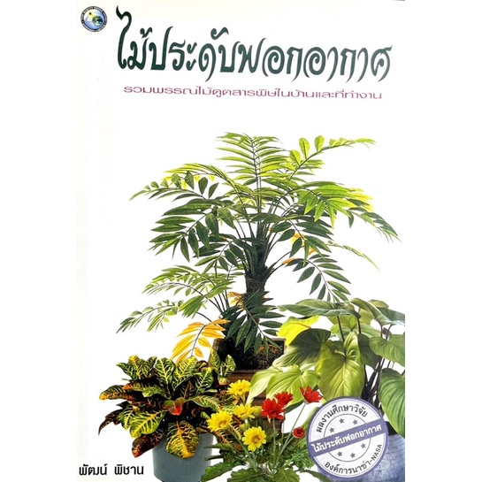 ไม้ประดับฟอกอากาศ-ปกอ่อน-เรามาไขข้อสงสัยทั้งหมดให้คุณรู้-ทั้ง-ต้นไม้ฟอกอากาศในบ้าน