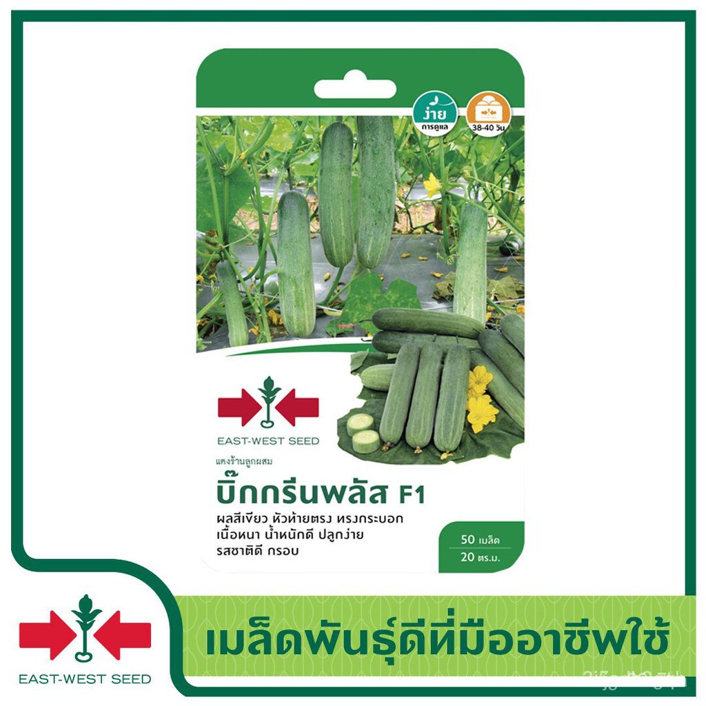 ผลิตภัณฑ์ใหม่-เมล็ดพันธุ์-เมล็ดพันธุ์คุณภาพสูงในสต็อกในประเทศไทย-พร้อมส่ง-ะให้ความสนใจของคุณeast-west-seed-เมล็-คล-เ-cfo