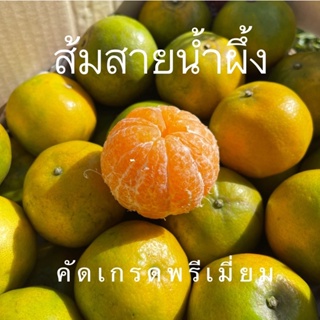 ภาพขนาดย่อของสินค้าส้มสายน้ำผึ้ง คัดลูกใหญ่ กล่องละ 5-10 Kg