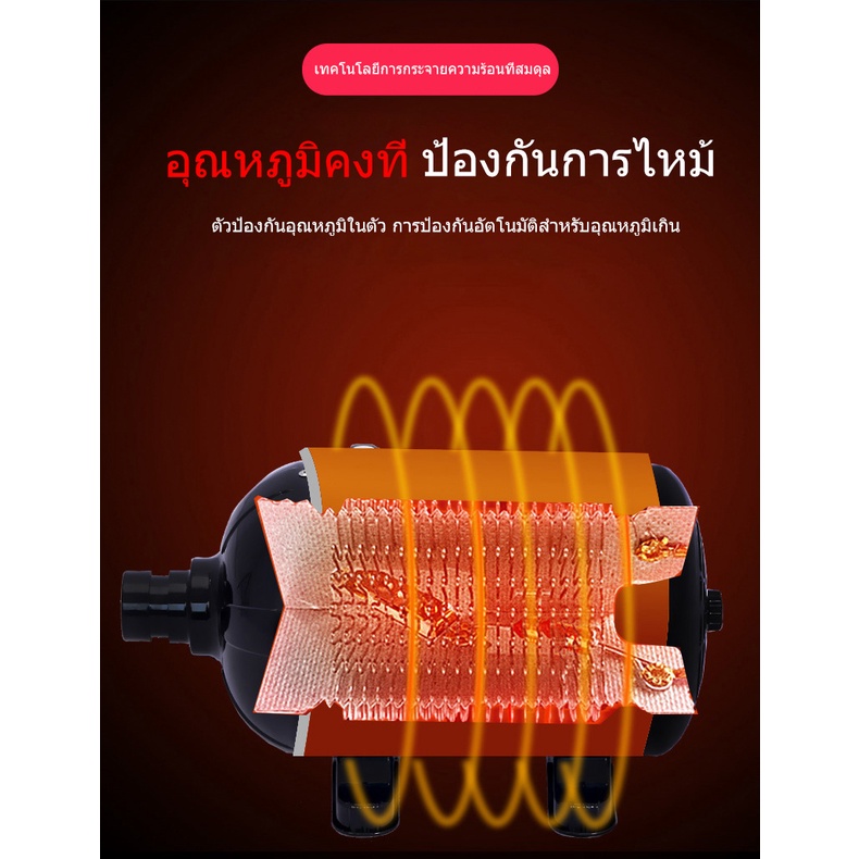 ภาพหน้าปกสินค้าไดร์เป่าขนหมาไดร์เป่าขนหมา เครื่องเป่าขนสุนัข ไดร์เป่าขนแมว ไดร์ไล่น้ำ 2800w เสียงเงียบ ลมแรง เป่าร้อนเย็นไดร์เป่าผมสำห จากร้าน dongcthailand บน Shopee